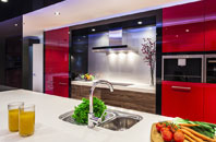 Irvine kitchen extensions